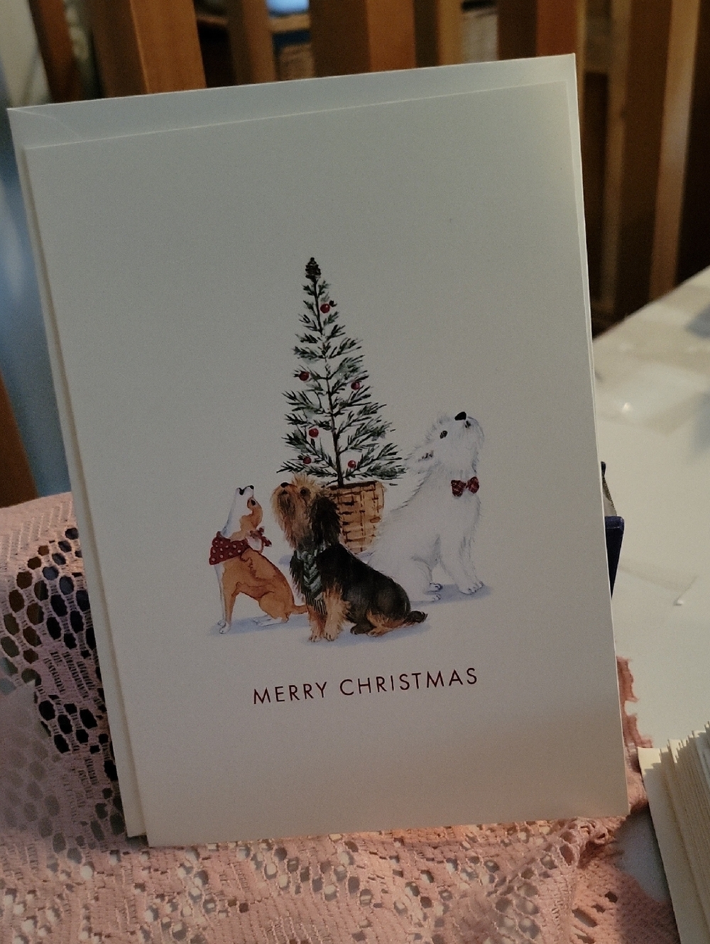 23 🌲Punch studio Christmas cards🌲